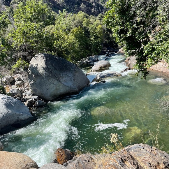 Meet your Posher, Jessica - Picture 1 of 1